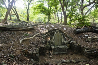 The old grave 