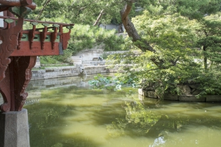 Secret Garden Le Jardin Secret de Changdeokgung