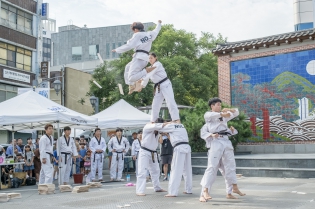 Taekwondo 5 